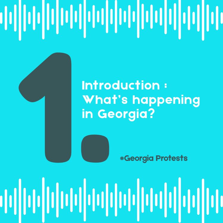cover art for 1. Introduction: What's happening in Georgia?