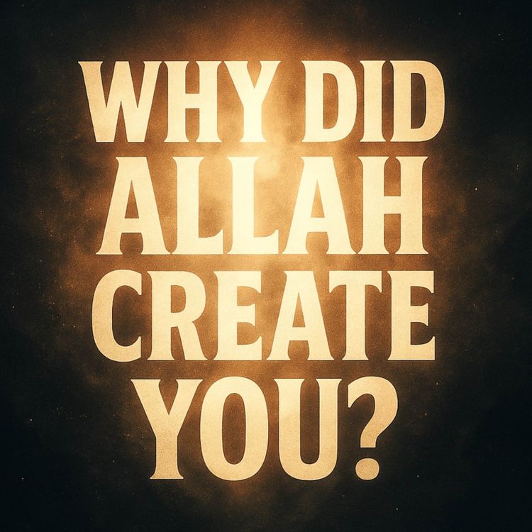 cover art for Why Did Allah Create You? | Dr Israr Ahmed