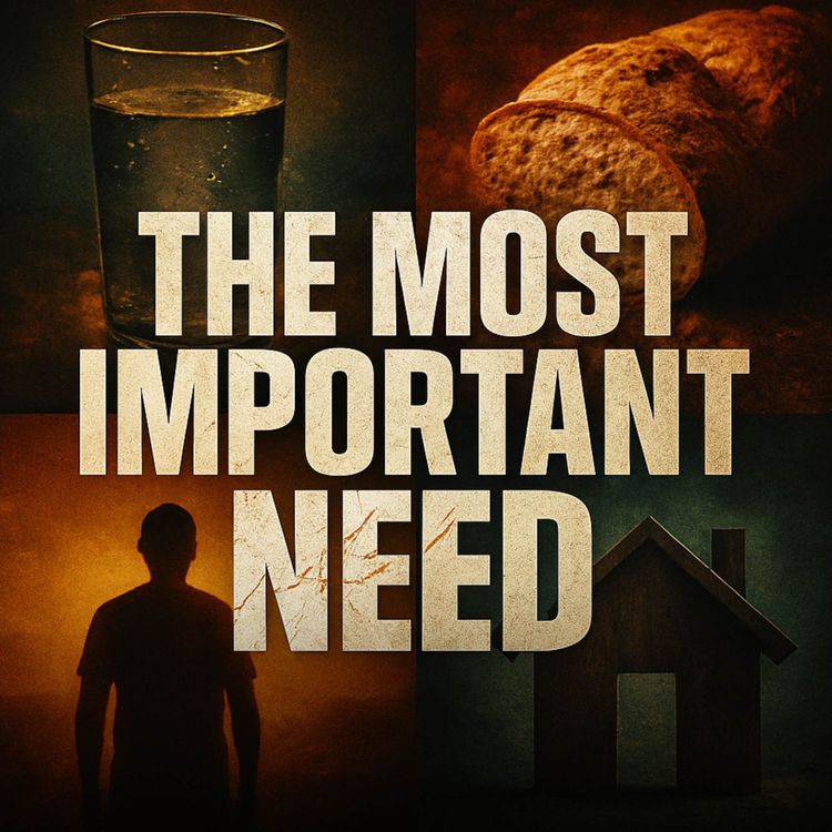 cover art for The Most Important Need of Humans | Dr Israr Ahmed
