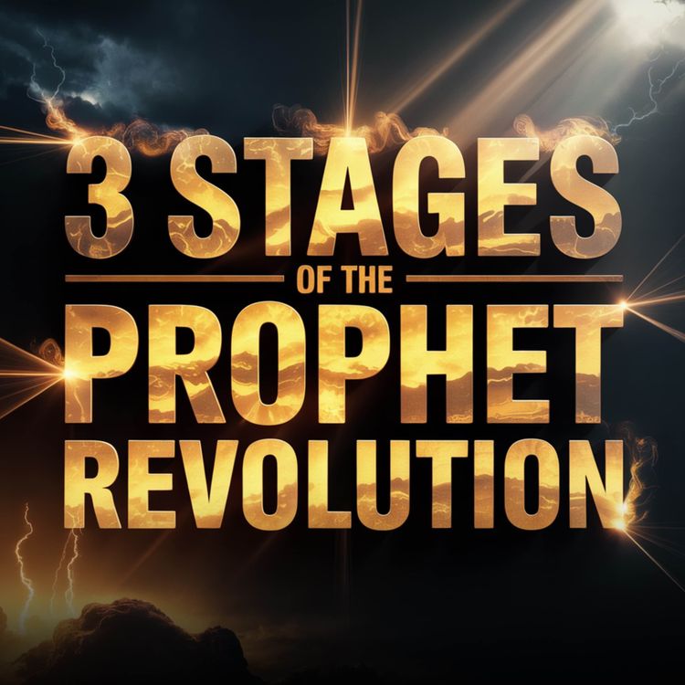 cover art for 3 Stages of the Prophet (ﷺ) Revolution | Dr Israr Ahmed