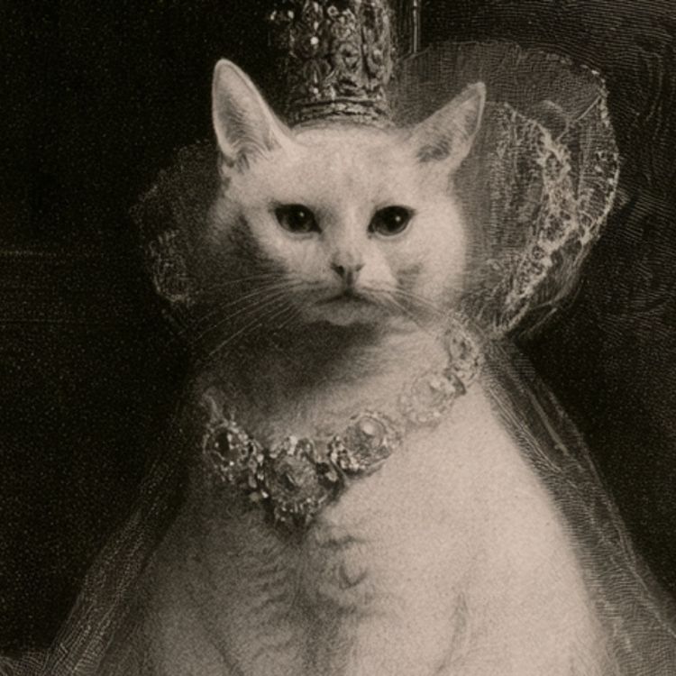 cover art for La Chatte Blanche, Madame d'Aulnoy