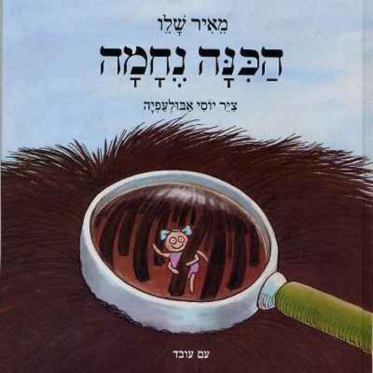 cover art for הכינה נחמה
