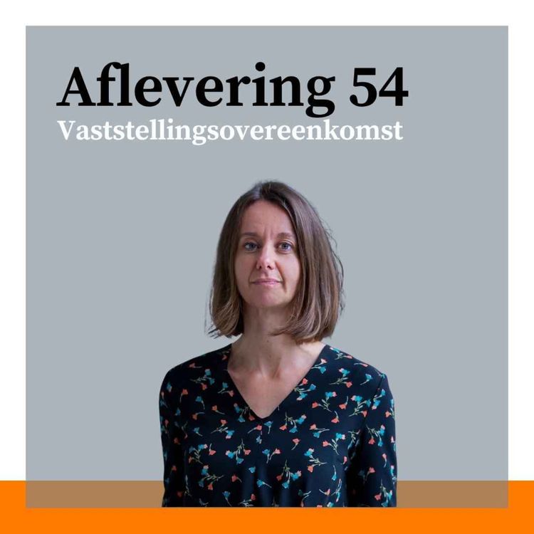cover art for #54 - Vso: onderhandelen, WW, finale kwijting en kleine letters met Suzanne Meijers