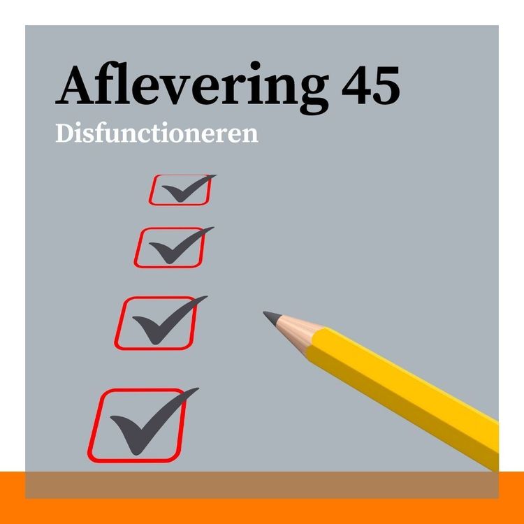 cover art for #45 - Disfunctioneren: verbeteren of naar de uitgang? Met Iris van der Burg en Kathleen Vangronsvelt