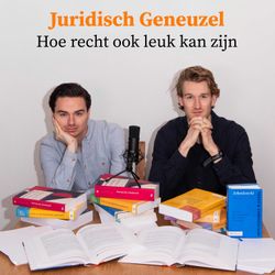 cover art for Juridisch Geneuzel