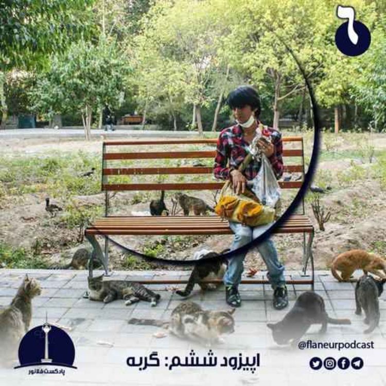 cover art for اپیزود ششم - گربه