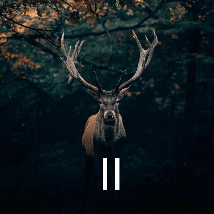 cover art for #58 Wildmenu