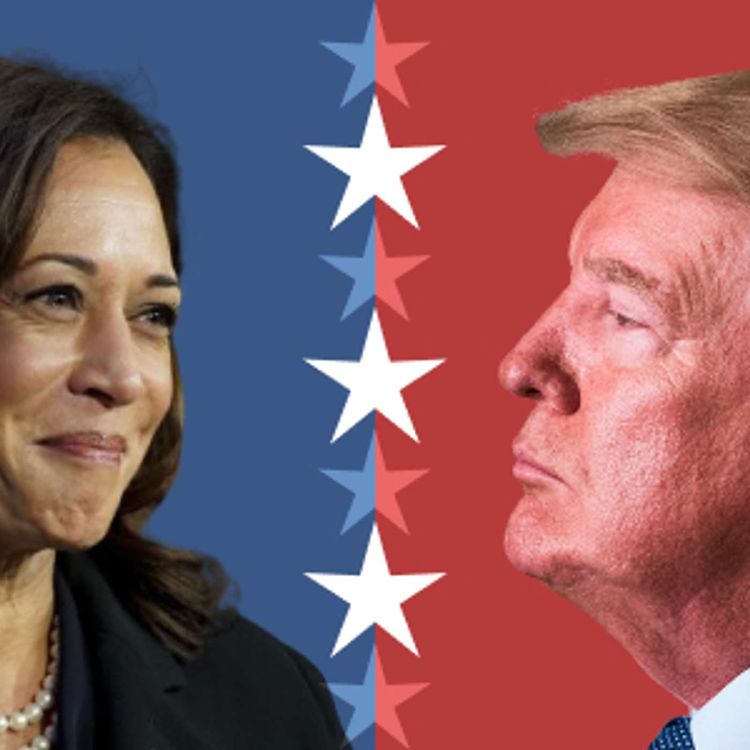 cover art for Trump Smart, Kamala Dumb?