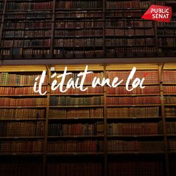 cover art for Il était une loi