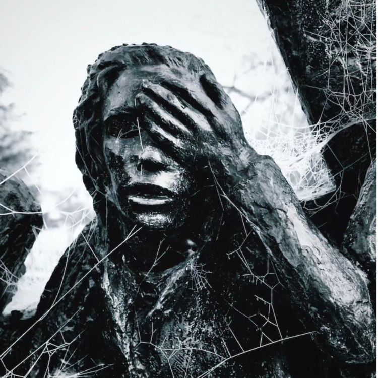 cover art for In A Perfect World