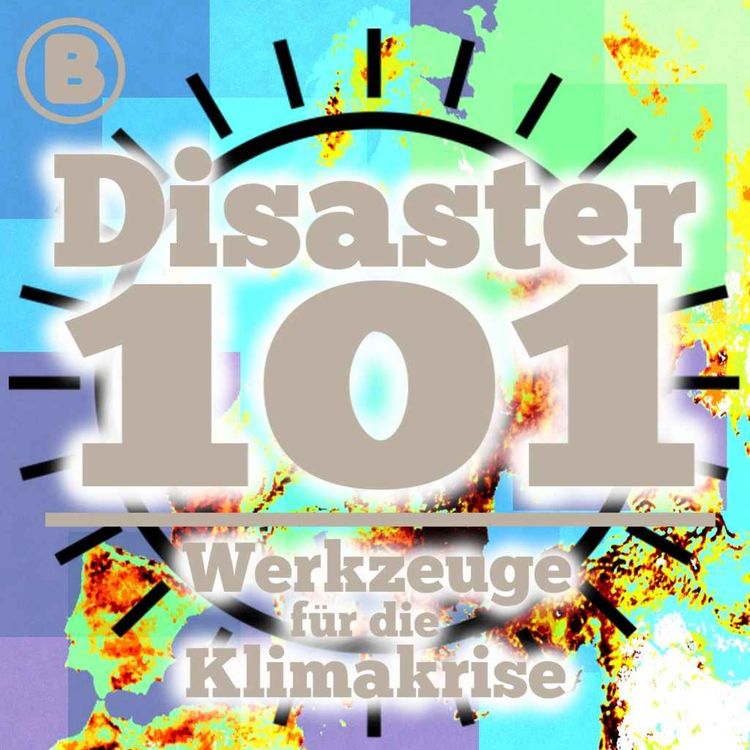 cover art for Disaster 101