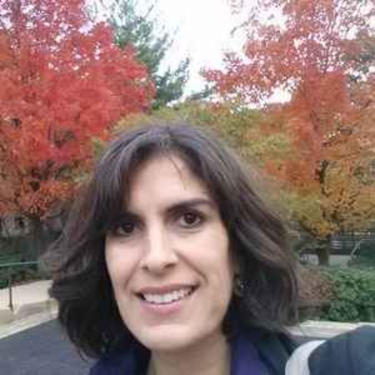 cover art for Late Ottoman Jerusalem with Michelle Campos