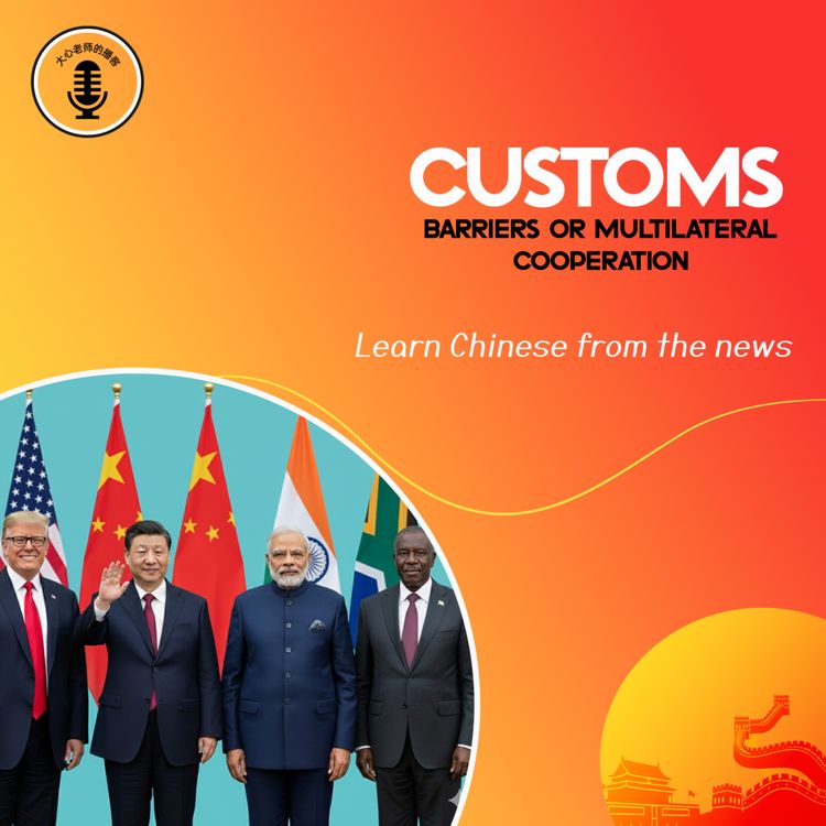 cover art for Customs Barriers or Multilateral Cooperation