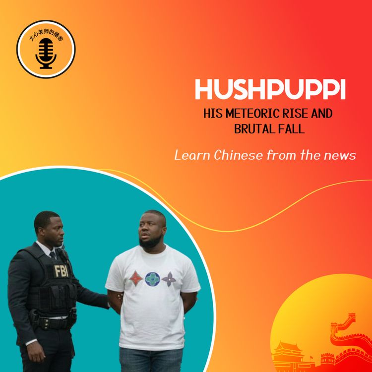 cover art for HUSHPUPPI: His Meteoric Rise and Brutal Fall