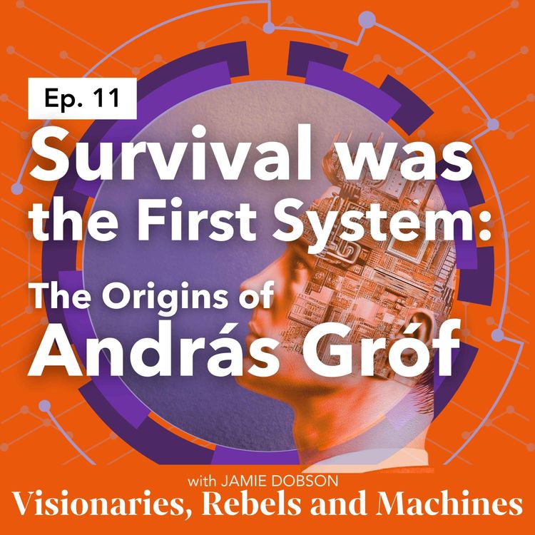 cover art for Survival Was the First System