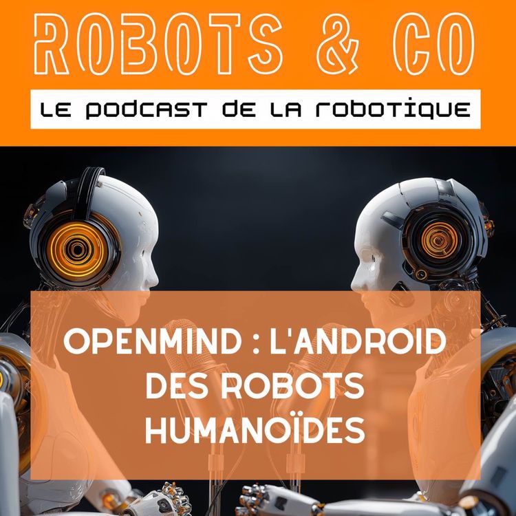 cover art for OpenMind : l’android des robots humanoïdes 