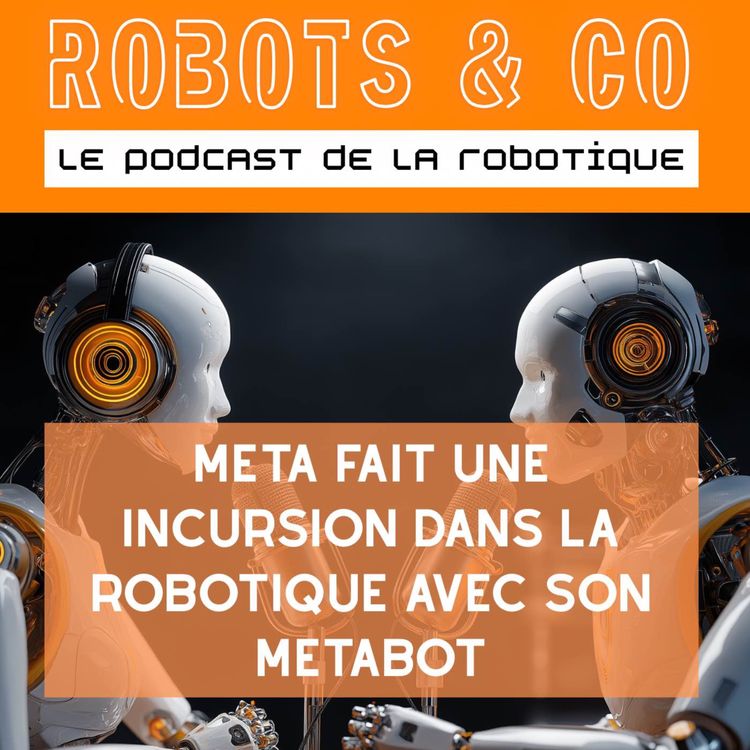 cover art for Meta fait une incursion dans la robotique avec son METABOT