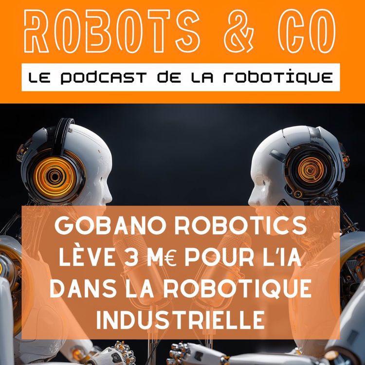 cover art for Gobano Robotics lève 3 M€ pour l’IA dans la robotique industrielle 