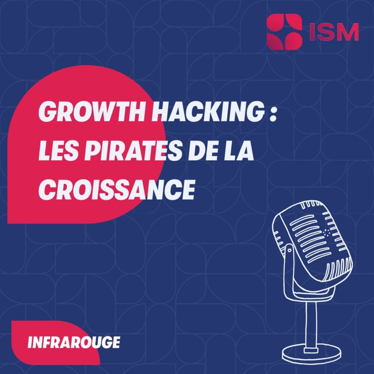 cover art for #3 - Le Growth Hacking : les pirates de la croissance