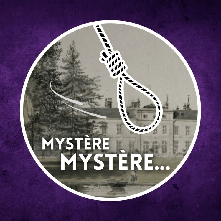 cover art for L'énigme de Saint-Leu, grand mystère du XIXe siècle ! 🪦