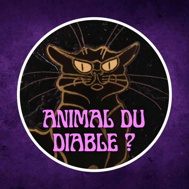 cover art for Pourquoi le chat noir porte-t-il malheur ? 🐈‍⬛