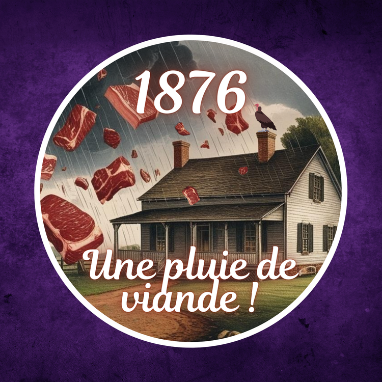 cover art for En 1876, une étrange pluie de viande s'est abattue sur le Kentucky... 🌧️🥩