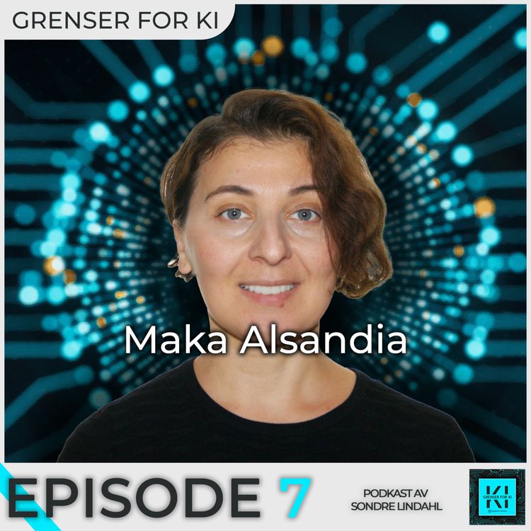 cover art for Grenser for politisk reklame