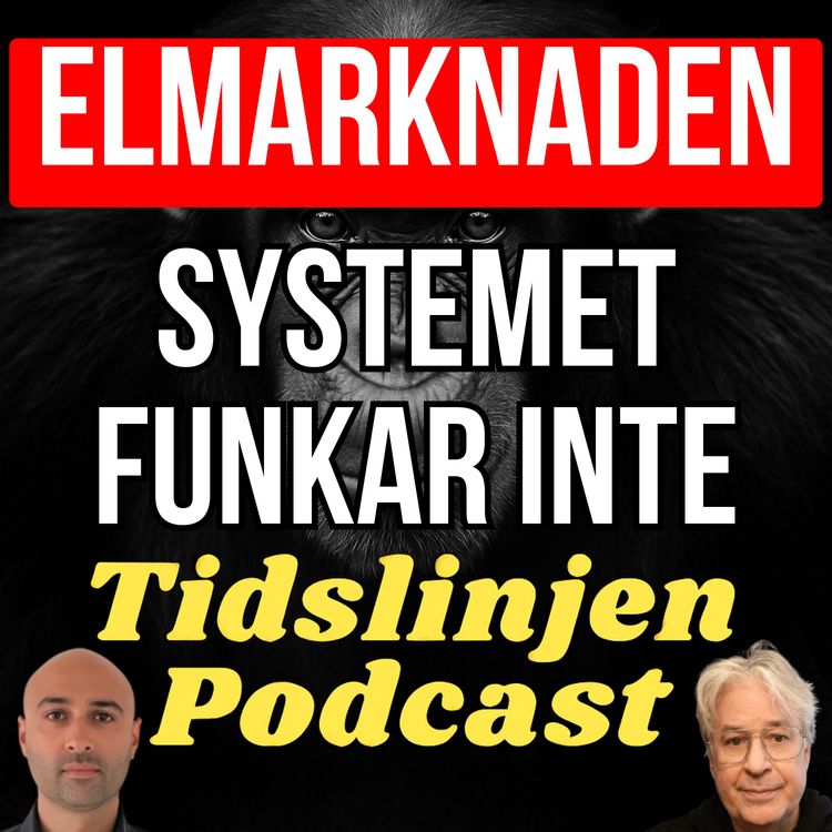 cover art for #80 - Varför elmarknaden inte fungerar - med Mats Nilsson