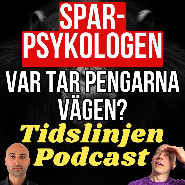 cover art for #83 - Varför det är så svårt att göra rätt med pengar | Sparpsykolog Niklas Laninge