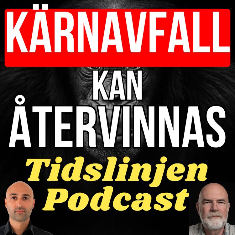 cover art for #84 - Vi använder bara 5% av kärnbränslet | Christian Ekberg, Professor i Kärnkemi