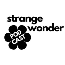 cover art for The Postmodern Premodern