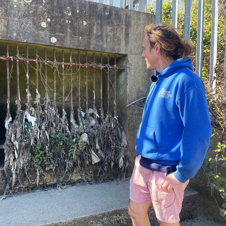 cover art for TONAL - On Legal Personhood and River Guardianship with barrister Paul Powlesland