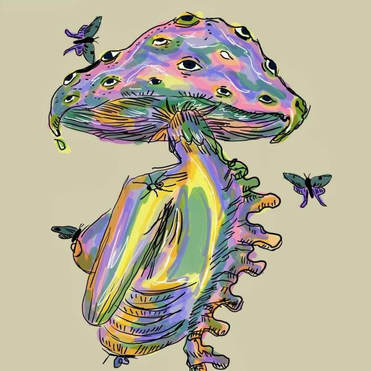 cover art for "Metamorphosis" 