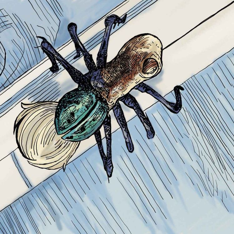 cover art for "In Space, No One..."