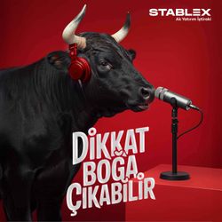 cover art for Dikkat Boğa Çıkabilir