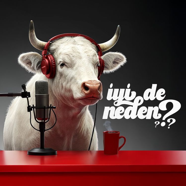 cover art for İyi de neden? #8 | Şu an bir stablecoin savaşı var... iyi de neden?