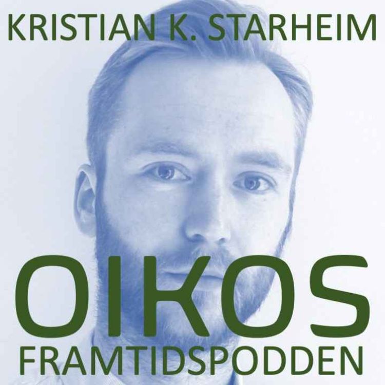 cover art for Eit år med indiepod