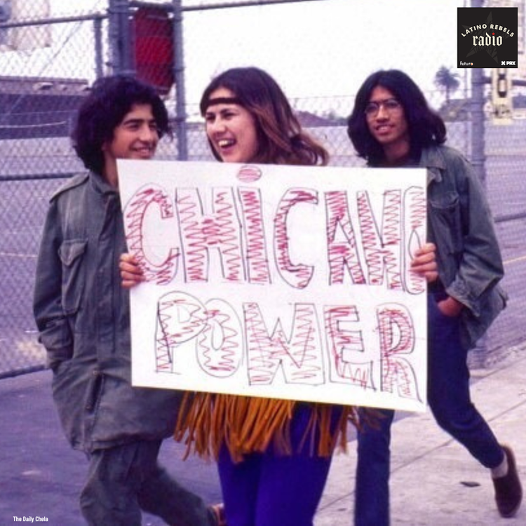 cover art for American Homeboy