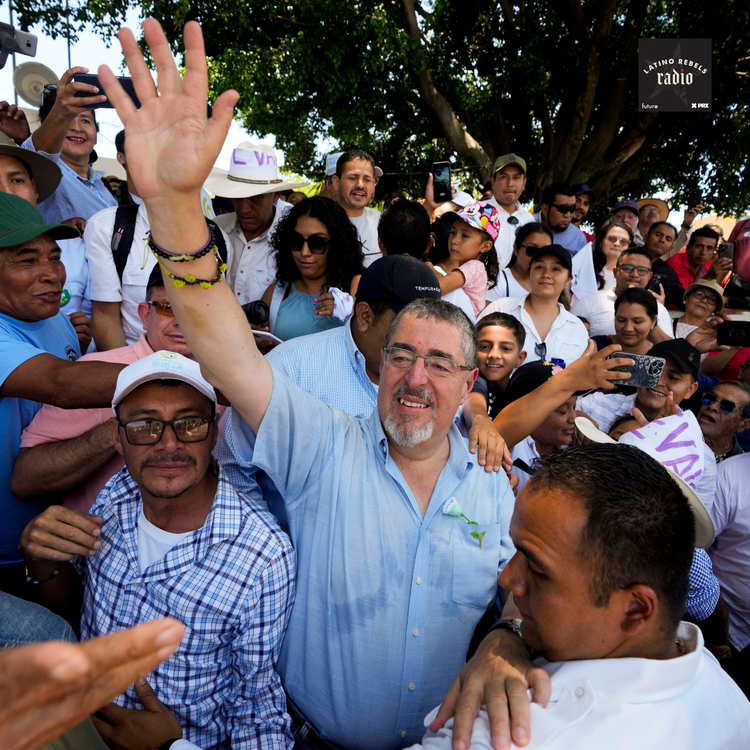 cover art for Democracy in Doubt