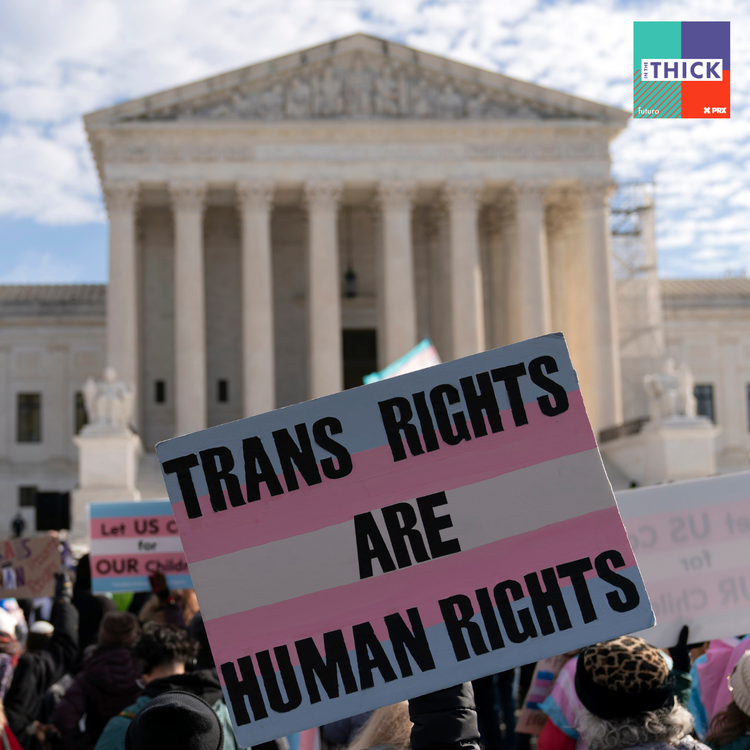 cover art for The Fight for Trans Futures