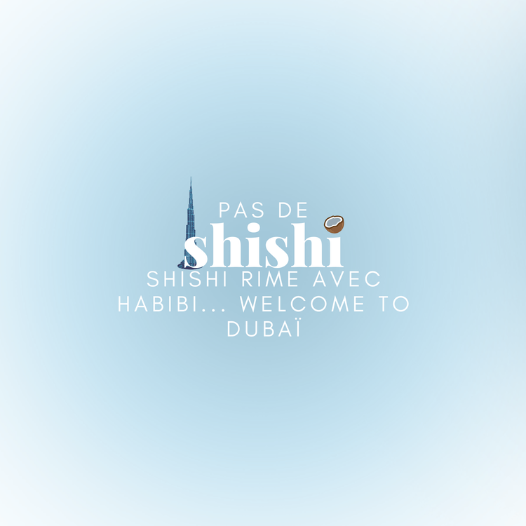 cover art for EP 2 : Dubaï - Sea, *Security* and Sun