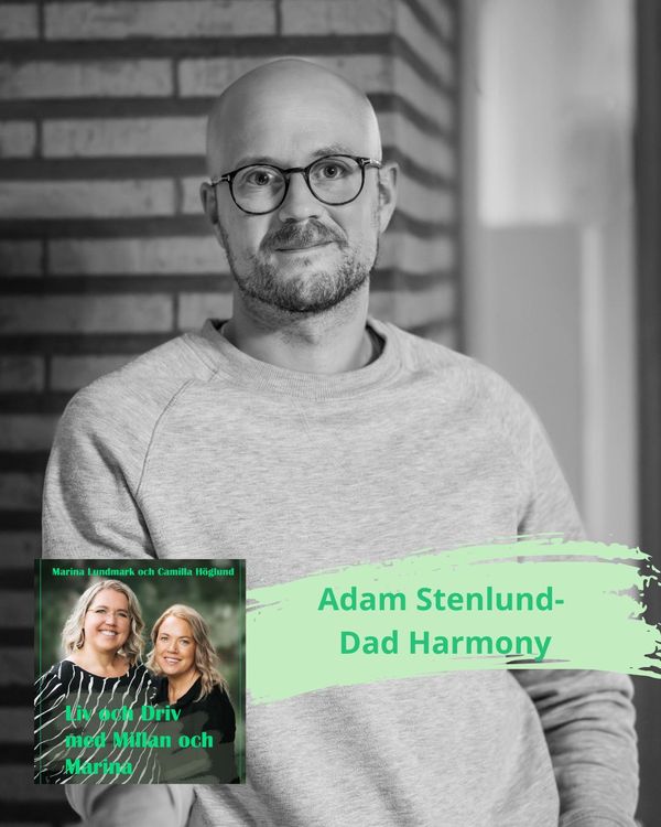 cover art for Adam Stenlund- Dad Harmony