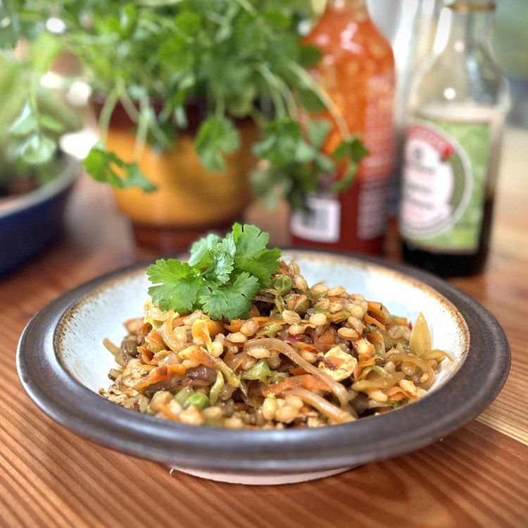 cover art for Biksemad, som du aldrig har fået det før