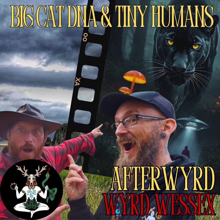 cover art for Big Cat DNA & Mushroom Hallucinations (Paul McDonald Interview) | AfterWyrd