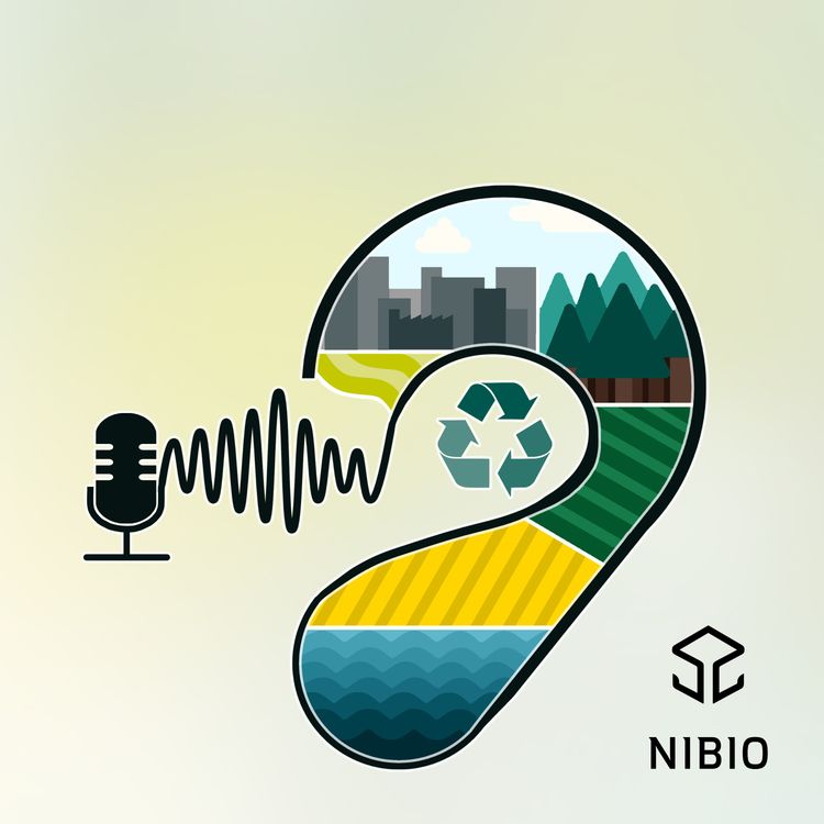 cover art for Hvordan finner man et humlebol?