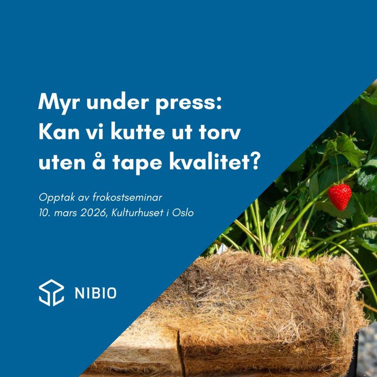 cover art for Myr under press - kan vi kutte ut torv uten å tape kvalitet?