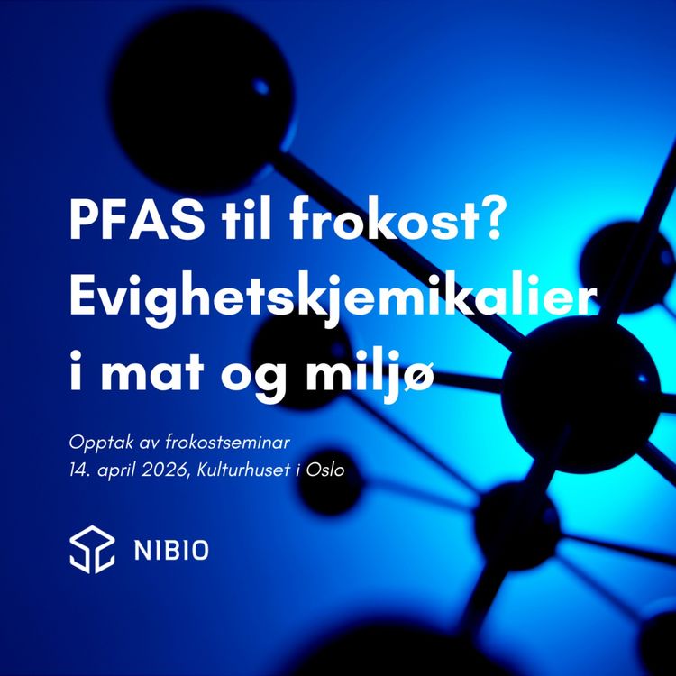 cover art for PFAS til frokost? Evighetskjemikalier i mat og miljø 