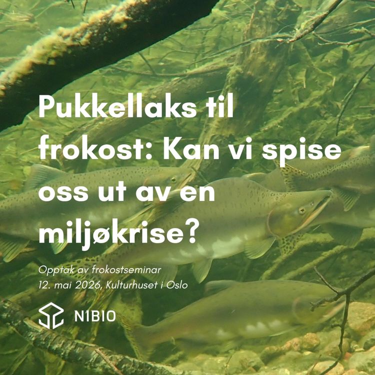 cover art for Pukkellaks til frokost - kan vi spise oss ut av en miljøkrise?