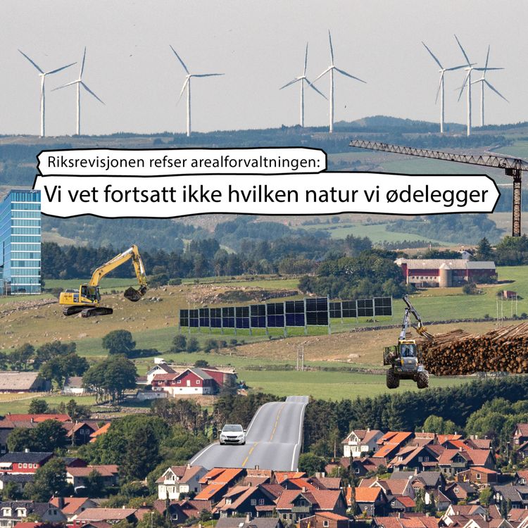 cover art for Riksrevisjonen refser arealforvaltningen - vi vet fortsatt ikke hvilken natur vi ødelegger