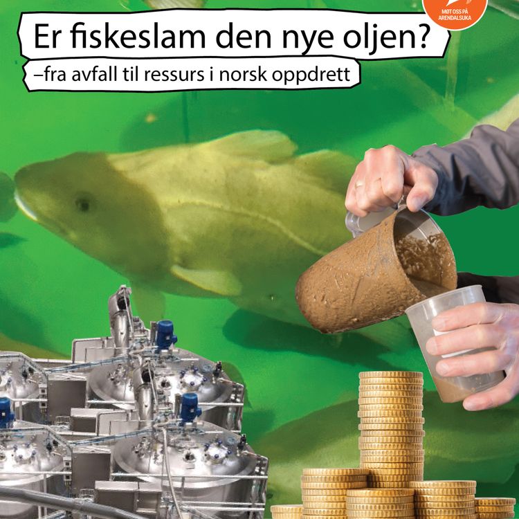 cover art for Er fiskeslam den nye oljen? Fra avfall til ressurs i norsk oppdrett